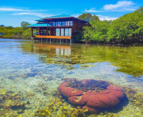 Punta Caracol Villa | Bahia Coral Lodge
