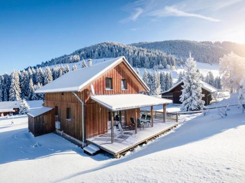 Stadl an der Mur Ski Chalet | Baier