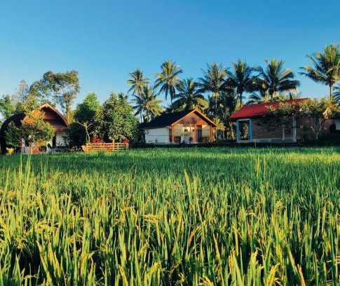 Tetebatu House | Bale Tetebatu