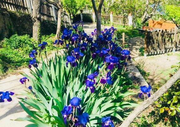 Laroles House | Barranco de la Salud