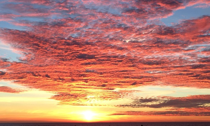 Malo-les-Bains Apartment | Beach and Garden in Malo les Bains