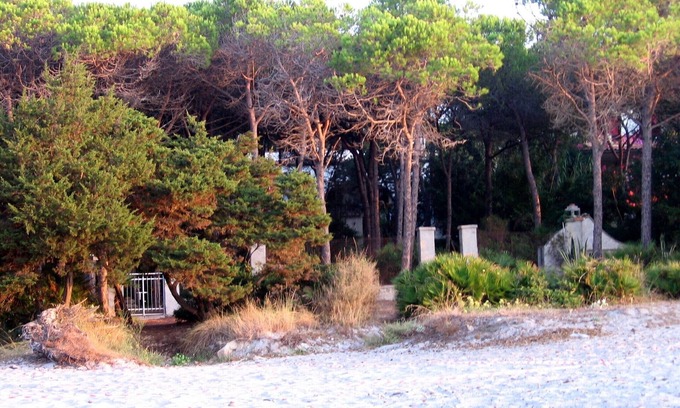 Cala Liberotto Apartment | Beach house in the pinewood with direct access to the beach in Sardinia