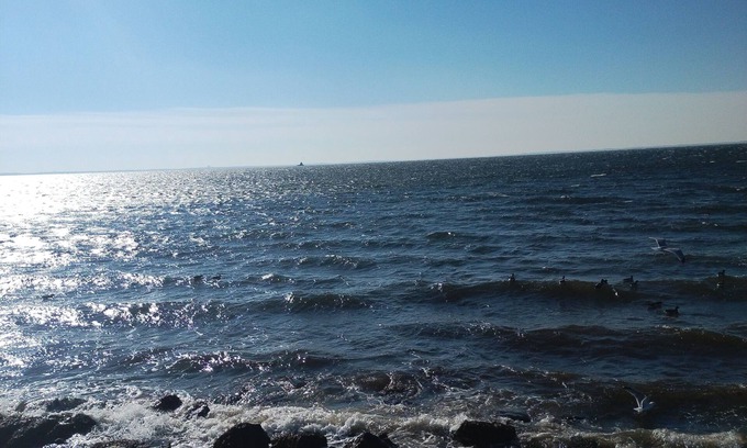 Black Rock Historic District House | Beach House located in Black Rock Harbor. Walk 1 block to beach. Private & Quiet