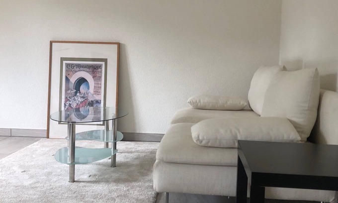 Soyhieres Condo | BEAUTIFUL DUPLEX APARTMENT IN THE COUNTRYSIDE 3KM FROM DELEMONT