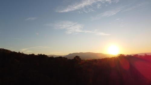 Townsend House | Beautiful! Moonlight view Luxury cabin
