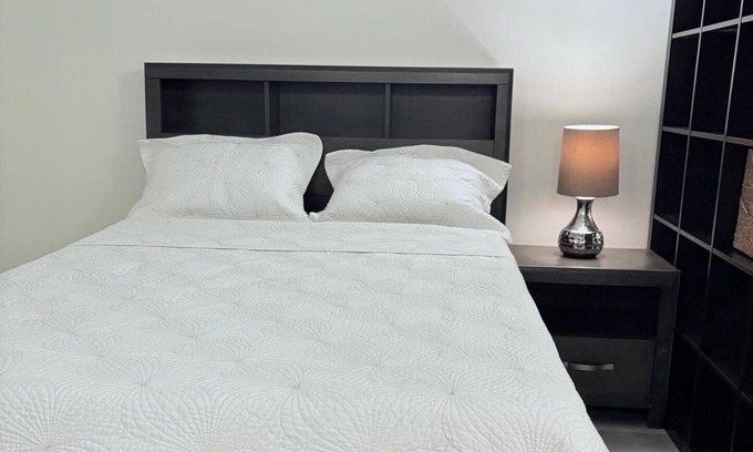 East Credit Apartment | Beautiful Renovated Basement Apartment