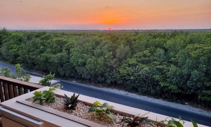 Puerto Morelos Apartment | Beautiful Studio with Rooftop Pool Sea view