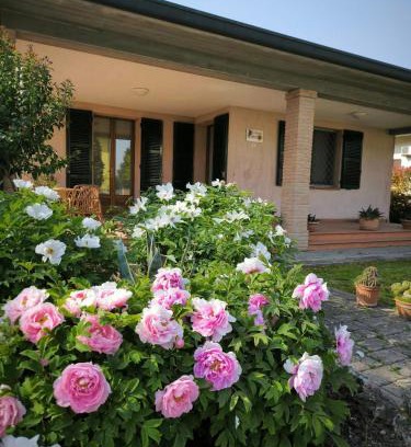 Castiglione di Cervia Bed & Breakfast | Bed and Breakfast La Contessa