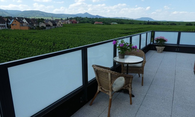 Bennwihr Apartment | BENNWIHR-ALSACE ▶️entre Riquewihr and Kaysersberg near COLMAR 🎄PROMO NOËL