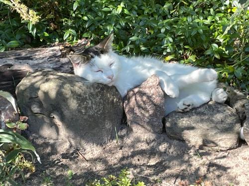 Hundested Bed & Breakfast | Bergliot Bed & Breakfast