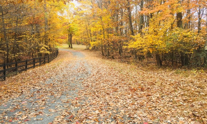 Nellysford Condo | Best views! 2 Floors