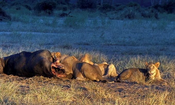 Kasane RV Rental | Between Chobe and Zambezi National Park we have a campground with WiFi, AC