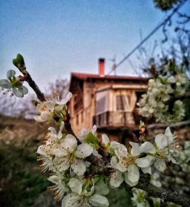 Cigoitia House | BIDEARTEAN, Caserío vasco, Recién reformado