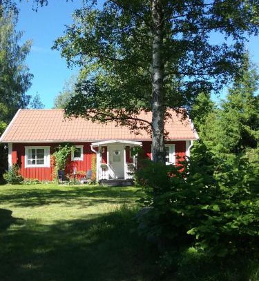 Vimmerby Cabin | Björkslingan