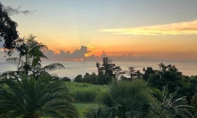 Saint-Claude Apartment | BLACK CANE LODGE - Apartment in the heart of the Cannes fields, sea view terrace