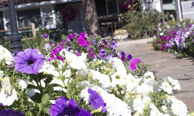 Hill City Other | Black Elk Resort Cottages and RV Park