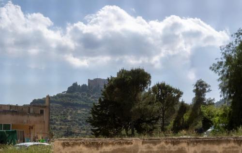 Ajloun Apartment | Blackbird Sanctuary homestay & Art Cafe