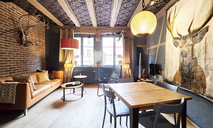 Colmar Centre Ville Apartment | Bois & Velours Équilibre Parfait Entre le Charme Alsacien et le Caractère Déco