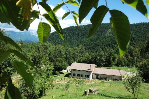 Taipana Bed & Breakfast | Bosco delle Rune .un angolo di paradiso