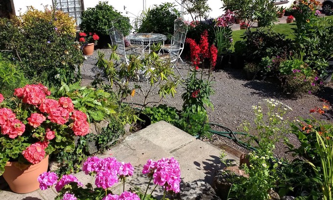 Tiverton Bed & Breakfast | Brambles Bed and Breakfast