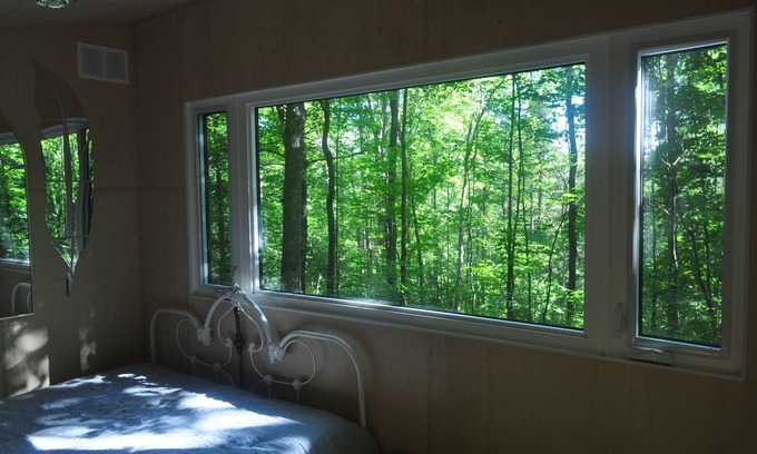 Strong Cabin | Brand New Dream Den Bunkie for Two with Canoe, River Access, and Scenic Trailsn
