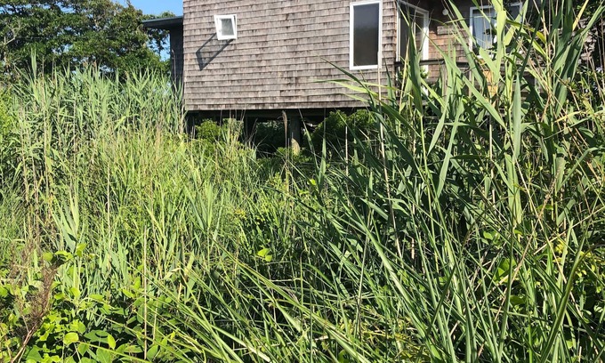Davis Park House | Bright and Airy Bayview Beach House