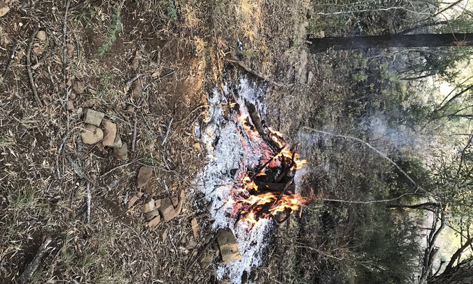 Hekpoort Cottage | Bulls Haven retreat. Interact with tame bulls