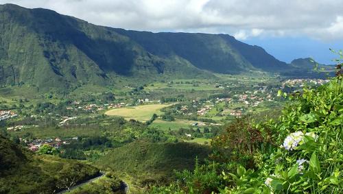La Plaine-des-Palmistes House | Bungalow accueillant a La Plaine des Palmistes + Vue montagne