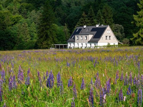 Miedzylesie Apartment | Butikowe apartamenty w Sudetach - TRZY MORZA - pod górą Trójmorski Wierch