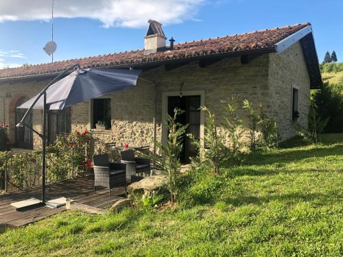 Mango House | Cà Tinola