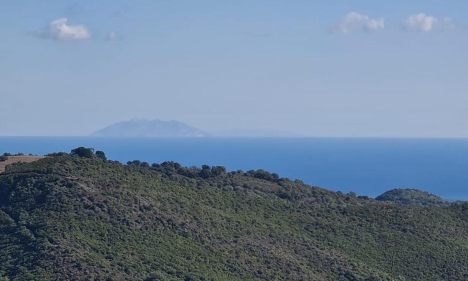 Sollacaro Bed & Breakfast | Côte Est Pancheraccia Chambre Petit déjeuner