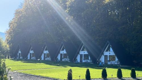 Cartisoara Other | Căsuțele de sub pădure