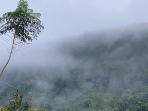 Da Lat Other | Cắm trại núi xanh dalat inn