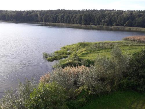 Lidzbark Welski Apartment | Całoroczny Apartament u Grzegorza