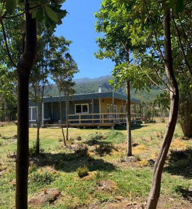 Lenca House | Cabaña con árboles nativos en su patio.
