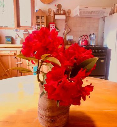 Llao Llao Cabin | Cabaña de Montaña