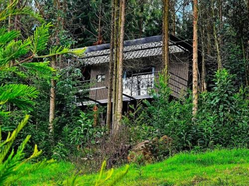 Tabio Ski Chalet | Cabaña en Tabio