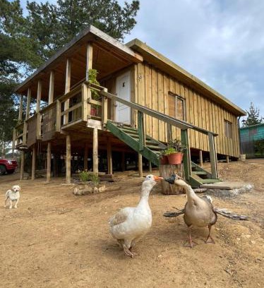 Valparaiso House | Cabaña los Gansos Playa Bosque Grill Wi-Fi TV