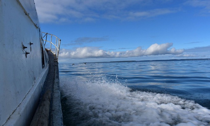 Chaiten Cabin | Cabaña Patagonia Chilena, Increíble Vista al Mar, en el Bosque Nativo