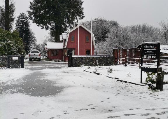 Puyuhuapi House | Cabaña Rossbach Puyuhuapi
