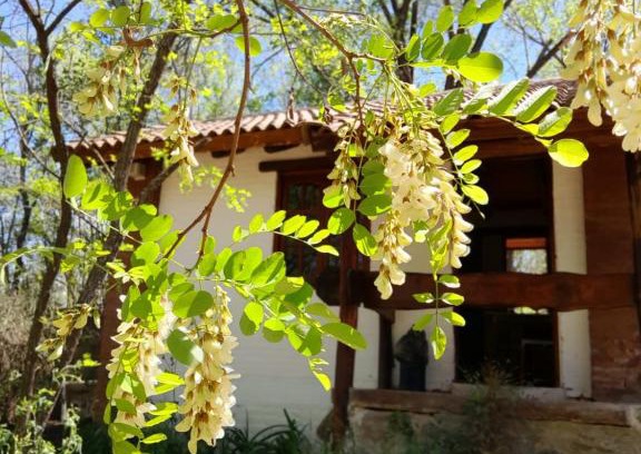 Santa Rosa de Calamuchita Ski Chalet | Cabañas Franca Austral