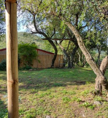 Alta Gracia Ski Chalet | Cabañas de montaña "Alquimia en Las Cascadas"