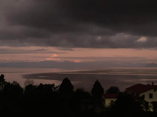 Frutillar Cabin | Cabañas el Bosque Patagónico