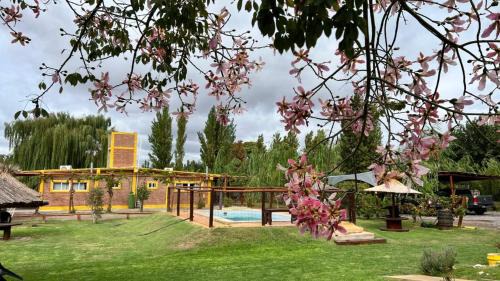 Albardon Ski Chalet | Cabañas El Sauce