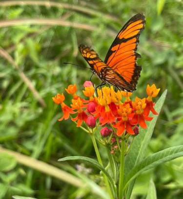 Santa Ana Other | Cabañas en Reserva Privada Bahía Santa Ana