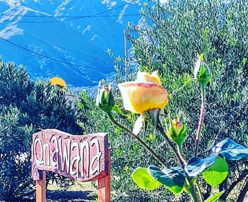 Carpinteria House | Cabañas Qhawana