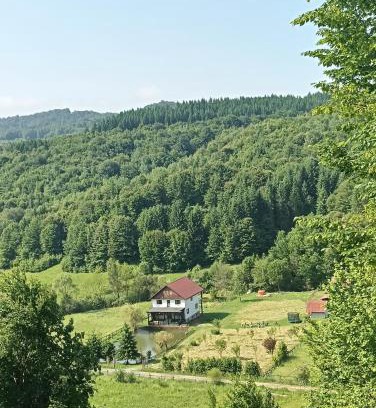 Cosbuc House | Cabana Țibleș