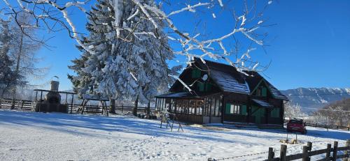 Sirnea House | Cabana ciocanu
