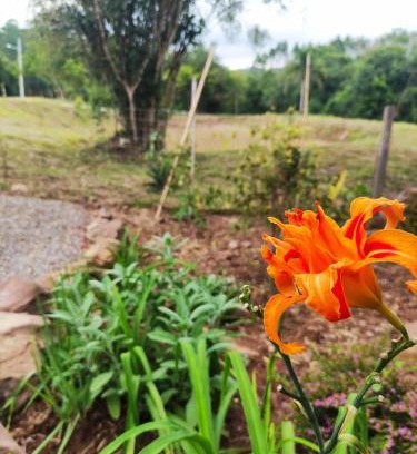 Doutor Ricardo House | Cabana, lagoas e natureza!