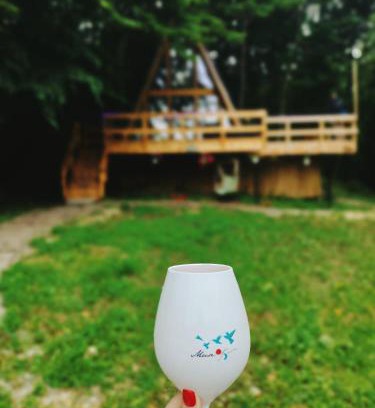 Curtea De Arges House | CabanaAframe intreaga proprietate